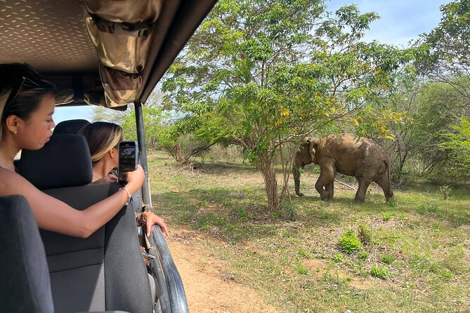 Udawalawe National Park Safari From Hambantota - Health and Accessibility Considerations