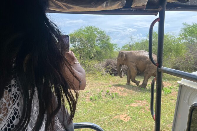 Udawalawe National Park Safari From Hambantota - Weather Contingency and Alternative Dates