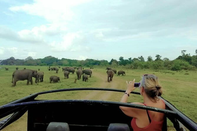 Udawalawe National Park Safari Tour - Who Is This Tour Best For?