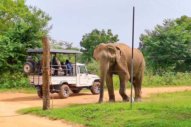 Udawalawe National Park Safari Tour - Private & Customize Tour - Explore Udawalawe National Park