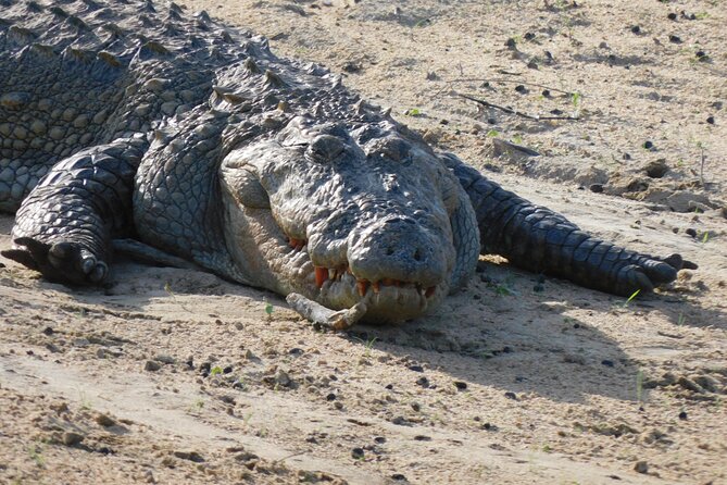 Udawalawe National Park Safari Tour With Natural Beauty - Key Points