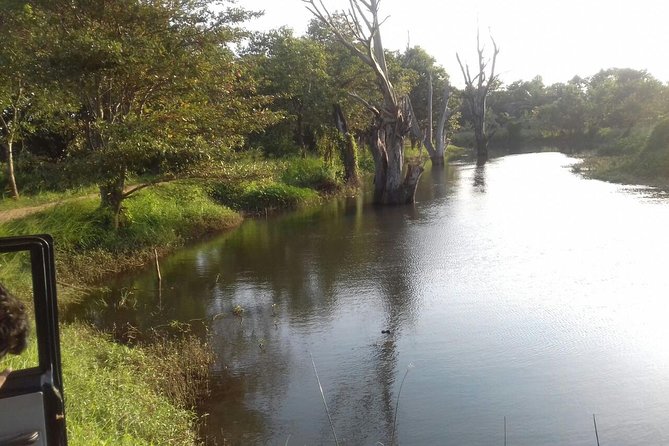 Udawalawe National Park Safari Trip From Ella - Participant Requirements and Restrictions