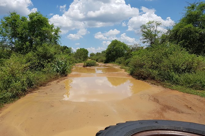 Udawalawe National Park Safari Trip From Galle/Mirissa/Ella - Itinerary Details