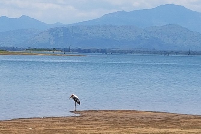 Udawalawe National Park Safari Trip From Galle/Mirissa/Ella - Important Requirements