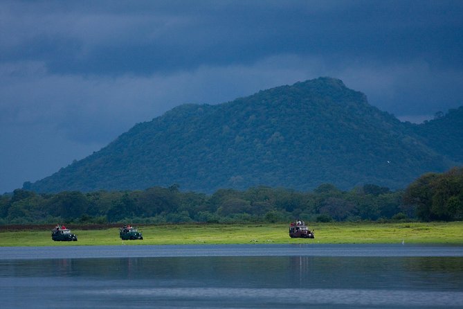 Udawalawe National Park Safari With Elephant Transit Home Visit - Safari Experience and Logistics