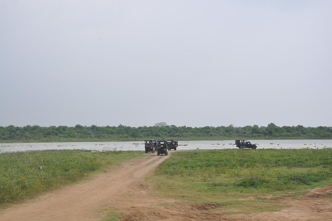 Udawalawe National Park Safari With Elephant Transit Home Visit - Positive Traveler Feedback