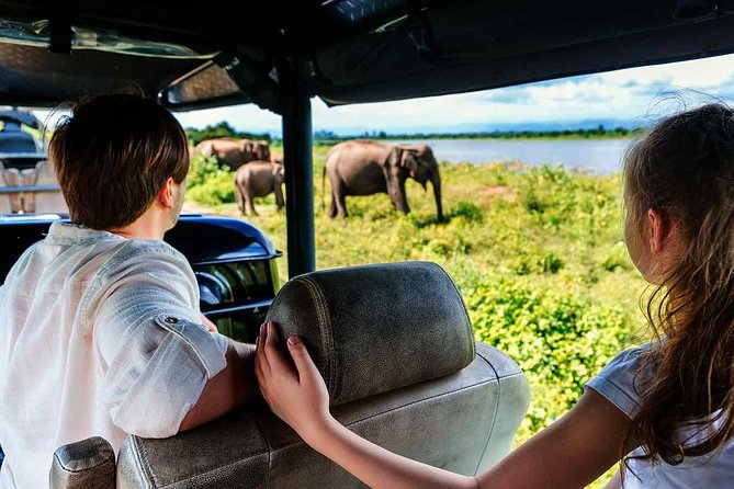 Udawalawe National Park Safari With Elephant Transit Home Visit - Booking and Reservation Options