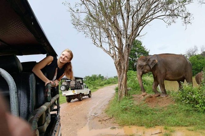 Udawalawe National Park Safari With Naturalist - Naturalist Guides Expertise