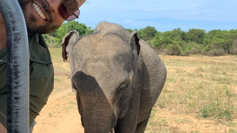 Udawalawe National Park Wildlife Safari From Kaluthara - Key Points