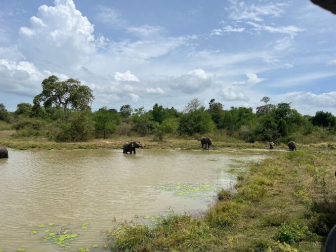 Udawalawe National Park Wildlife Safari From Kaluthara - Frequently Asked Questions