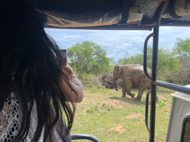 Udawalawe National Park Wildlife Safari From Mirissa - Itinerary and Experience