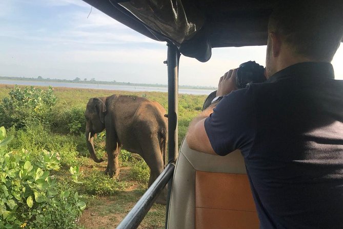 Udawalawe National Park With Elephant Transit Home From Colombo - Tour Conditions