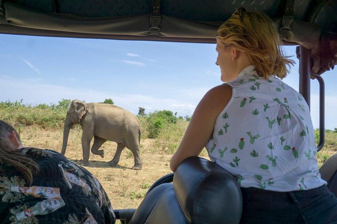 Udawalawe National Park With Elephant Transit Home From Colombo - Elephant Transit Home
