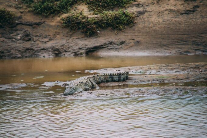 Udawalawe: Private Safari All Inclusive Day Trip With Lunch - Frequently Asked Questions