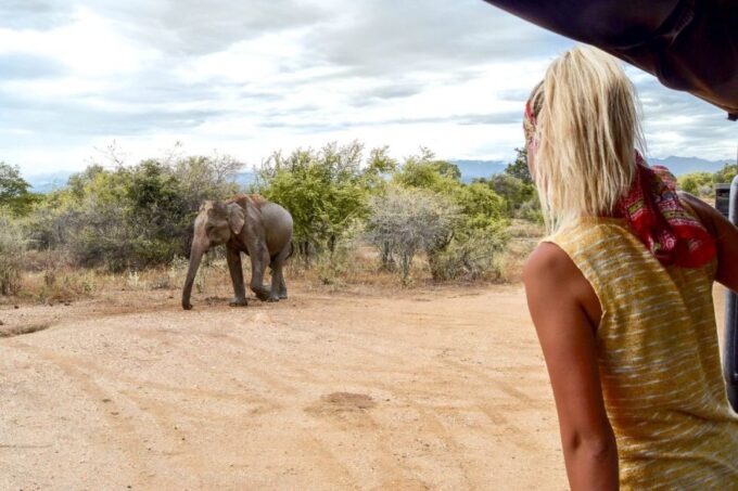 Udawalawe: Private Safari All Inclusive Day Trip With Lunch - Recap
