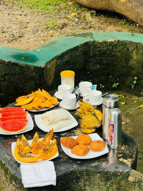 Udawalawe Safari All Inclusive Park Entrance, Jeep & Meals - Who Will Love This Tour?