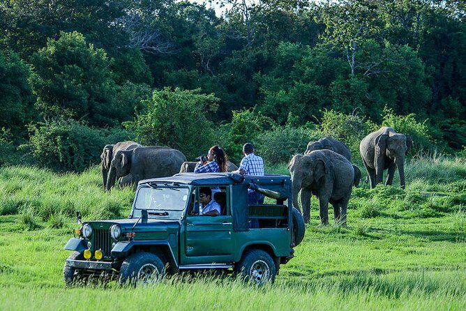 Udawalawe Safari Day Trip with Return Transport - All Inclusive - Unpacking the Experience: What to Expect on Your Udawalawe Safari Day Trip