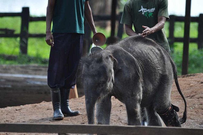 Udawalawe Safari & Elephant Transit Home Visit With Lunch From Hambantota Harbor - Pickup and Drop-off Details