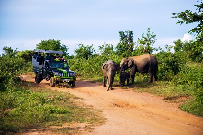 Udawalawe Safari & Elephant Transit Home Visit With Lunch From Hambantota Harbor - Pricing and Cancellation Policy
