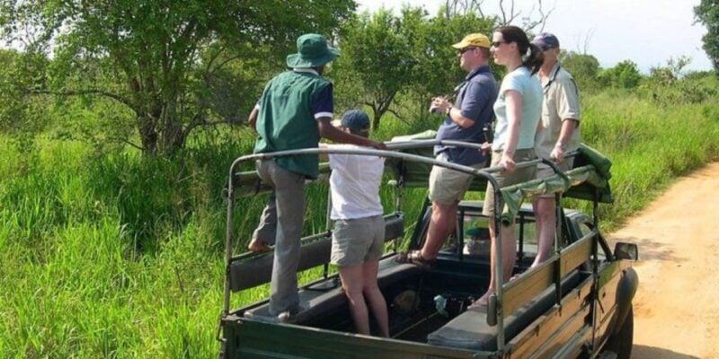 Udawalawe: Safari & Elephant Transit Home Visit With Lunch! - Safari Experience