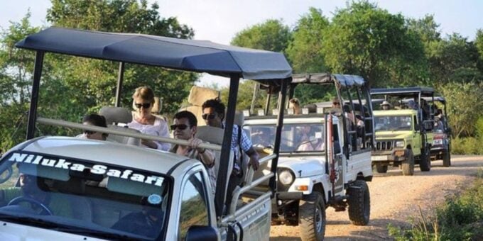 Udawalawe: Safari & Elephant Transit Home Visit With Lunch! - Departure and Pickup