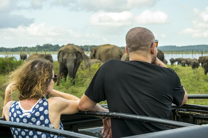 Udawalawe Safari From Hambantota Port (Shore Excursion) by BTM - Professional Guides and Tour Quality