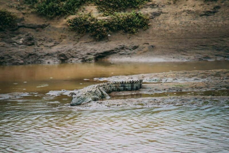 Udawalawe Safari Private Day Trip with Lunch - All Inclusive - The Value of the Experience