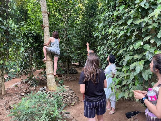 Udawalawe:Gem Mining,Cooking Classes & Local Food Experience - Reservation and Availability