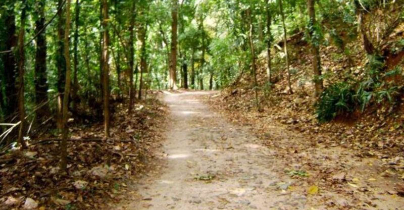 Udawatte Kele:Birdwatching and Nature Trekking Experience - Key Points