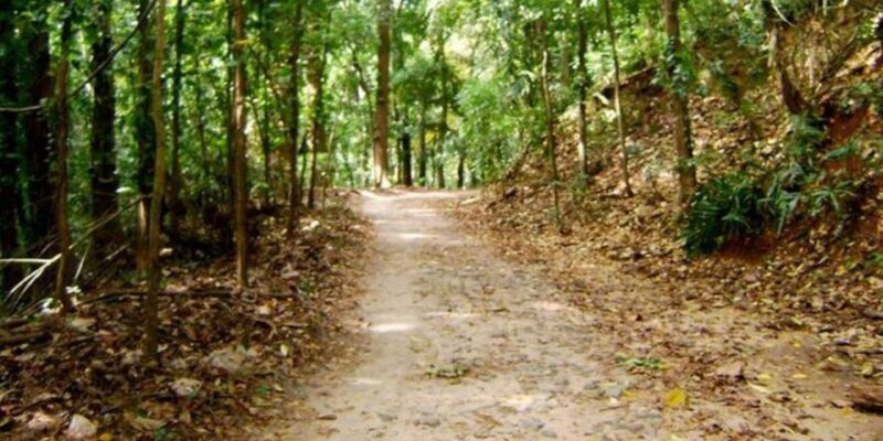 Udawatte Kele:Birdwatching and Nature Trekking Experience - Pricing and Booking Flexibility