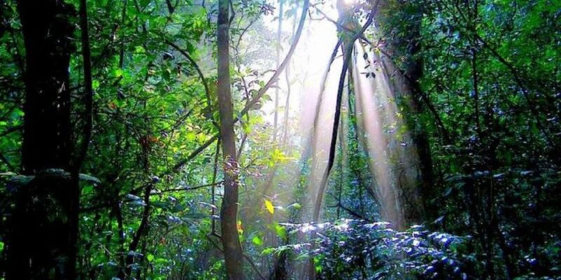Udawatte Kele:Birdwatching and Nature Trekking Experience - Abundant Birdlife and Landscapes