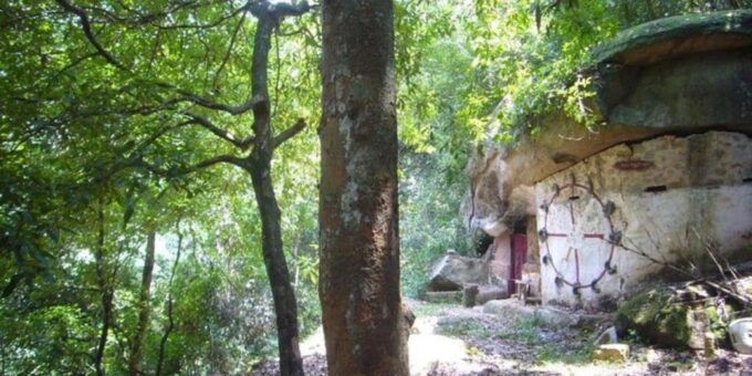 Udawatte Kele:Birdwatching and Nature Trekking Experience - Inclusions and Additional Information