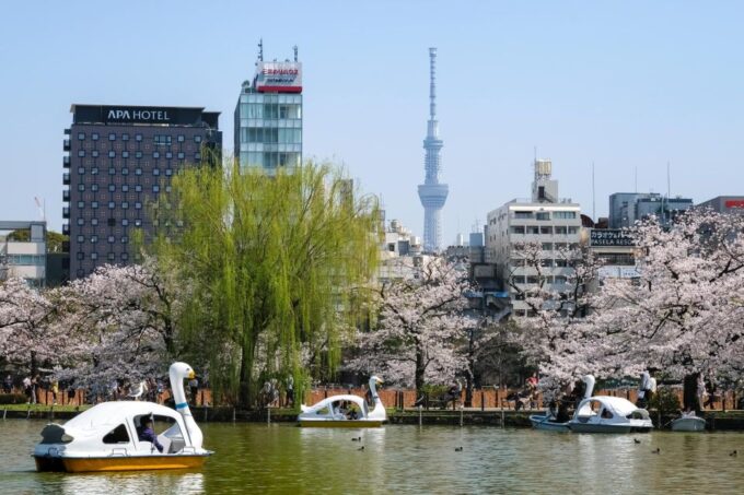 Ueno Nightlife Highlights: Izakaya, Karaoke, Ramen - Important Tour Information