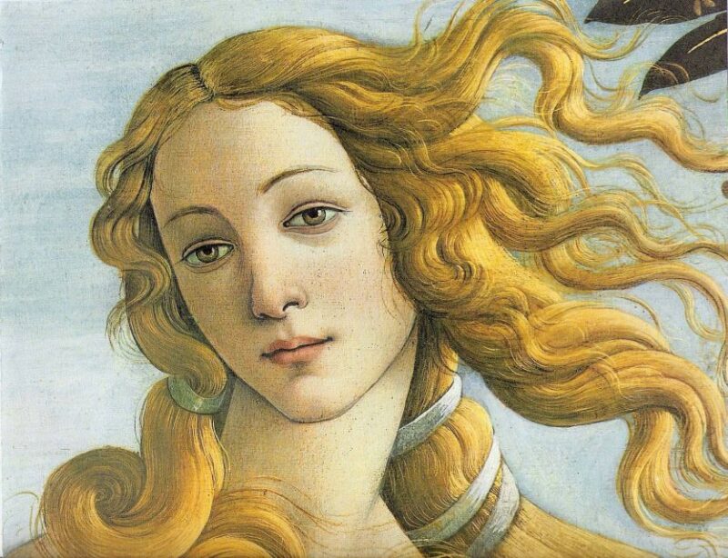 Uffizi and Accademia: Independent Visit With Audio Guide - Inclusions and Lunch Option