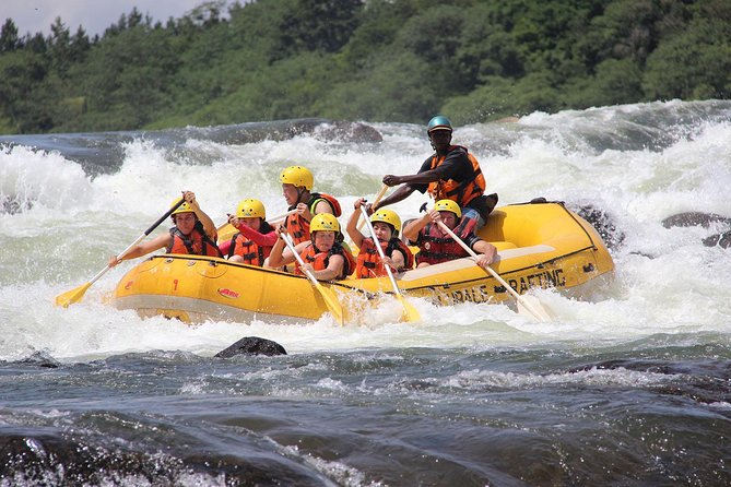 Uganda Gorillas and Game Safari - 10 Days - Itinerary