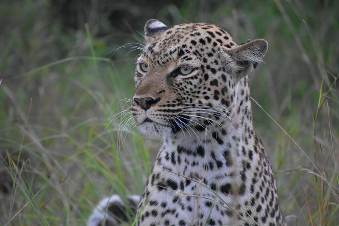 Uganda Wildlife & Activity Holiday - 15 Days - Key Points