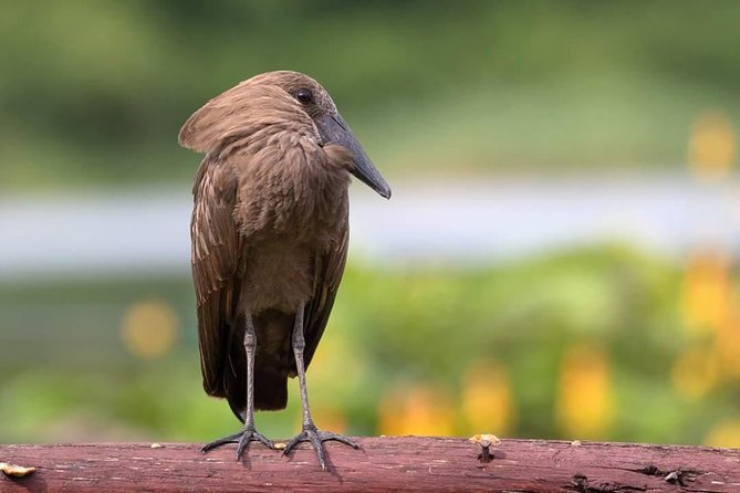 Uganda Wildlife & Activity Holiday - 15 Days - Health and Accessibility