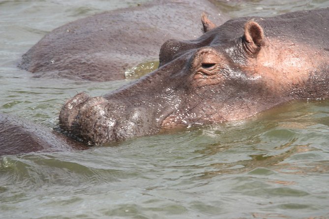 Uganda Wildlife Holiday - 8 Days - Packing Tips