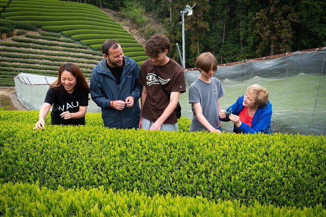 Uji and Wazuka Matcha Farm Half Day Private Guided Tour - The Itinerary: Step-by-Step Through Japan’s Tea Heartland