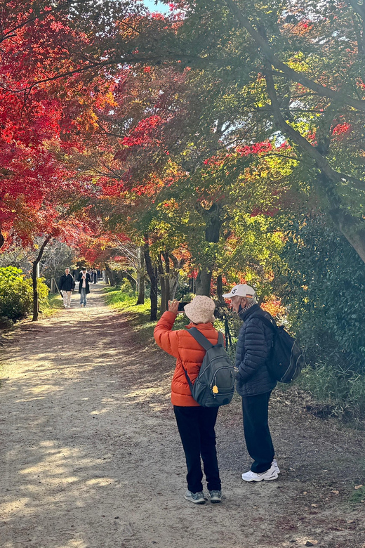 Uji & Fushimi Inari Adventure: Tea, Temples, and Torii Gates - Fushimi Inari Taisha Shrine