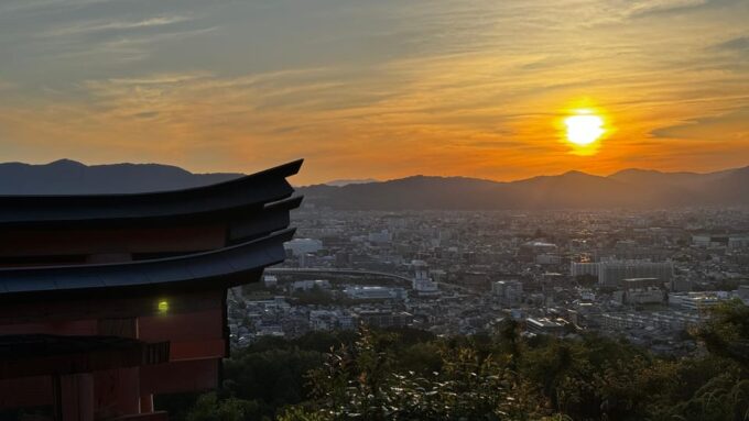 Uji & Fushimi Inari Adventure: Tea, Temples, and Torii Gates - Optional Experiences