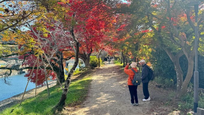 Uji & Fushimi Inari Adventure: Tea, Temples, and Torii Gates - Price and Booking