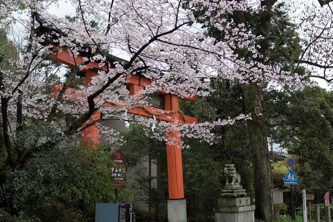 Uji Tea Ceremony and UNESCO Heritage Walking Tour - Excluded From the Tour