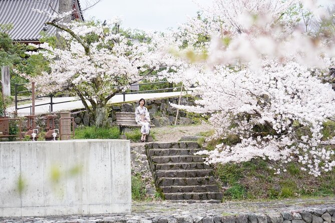 Uji Walking Tour With Matcha Experience - Key Points