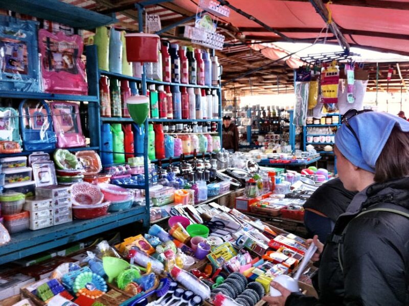 Ulaanbaatar: Full-Day Sightseeing City Tour - Itinerary Highlights