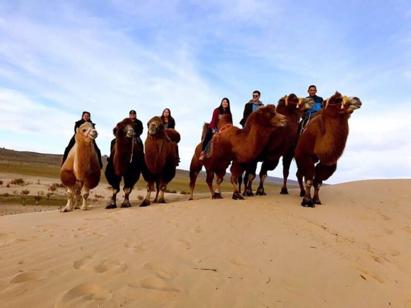 Ulaanbaatar: Semi-Gobi Desert Day Trip & Camel Ride - Important Information and Recommendations