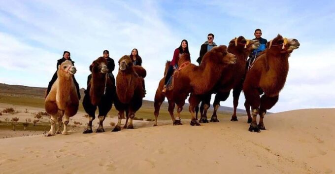 Ulaanbaatar: Semi-Gobi Desert Day Trip & Camel Ride - Departure and Return Details