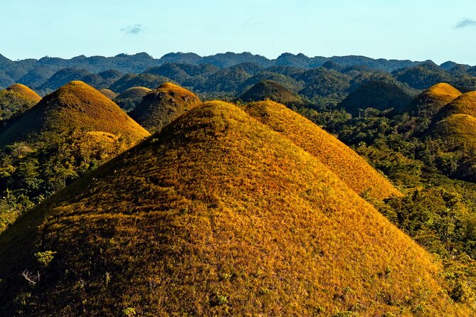 Ultimate 4D3N Cebu Bohol Tour Package Group Tour - Inclusions and Exclusions