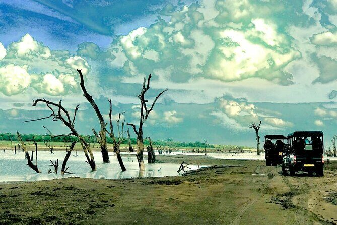 Ultimate 8-Day Sri Lanka Adventure: Private Guided Tour - A Detailed Look at the Itinerary