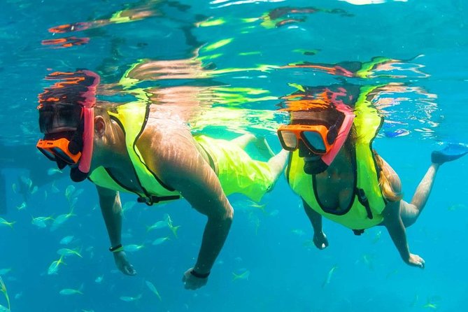Ultimate Adventure From Key West With Snacks and Drinks - What To Expect
